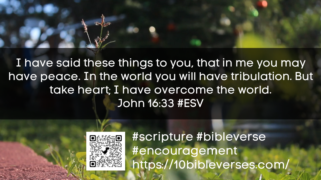 Bible Verses About Peace   John 16 33 I Have Said These Things To You That In Me You May Have Peace. In The World You Will Have Tribulation. But Take Heart I Have Overcome The World Encouragement 