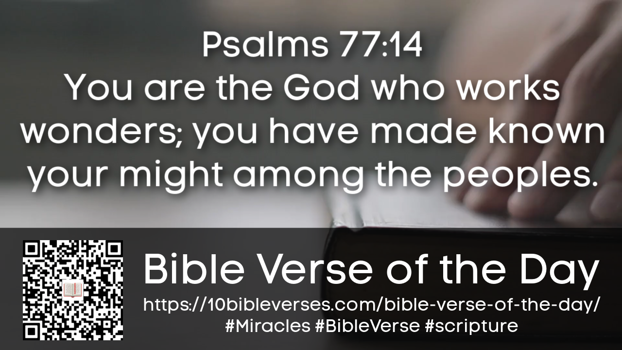 Miracle Bible Verse | Miracle Scriptures