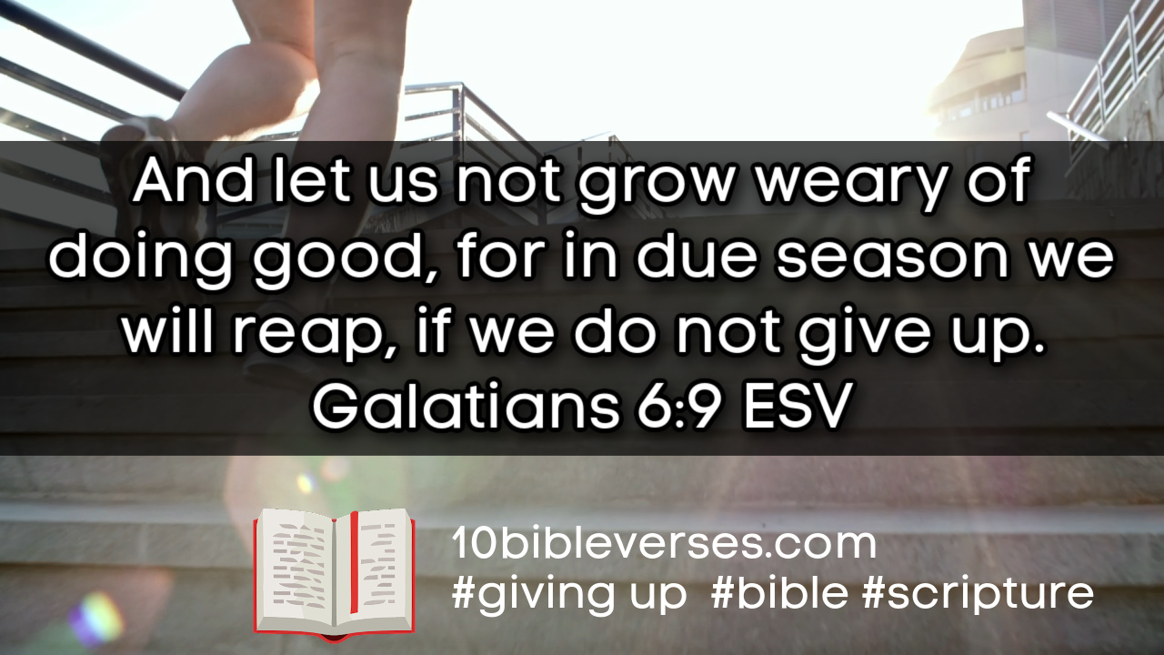 bible-verses-about-not-giving-up-daily-scripture-quotes-and-biblical