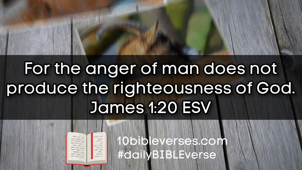 10-bible-verses-about-arguing-daily-scripture-quotes-and-biblical