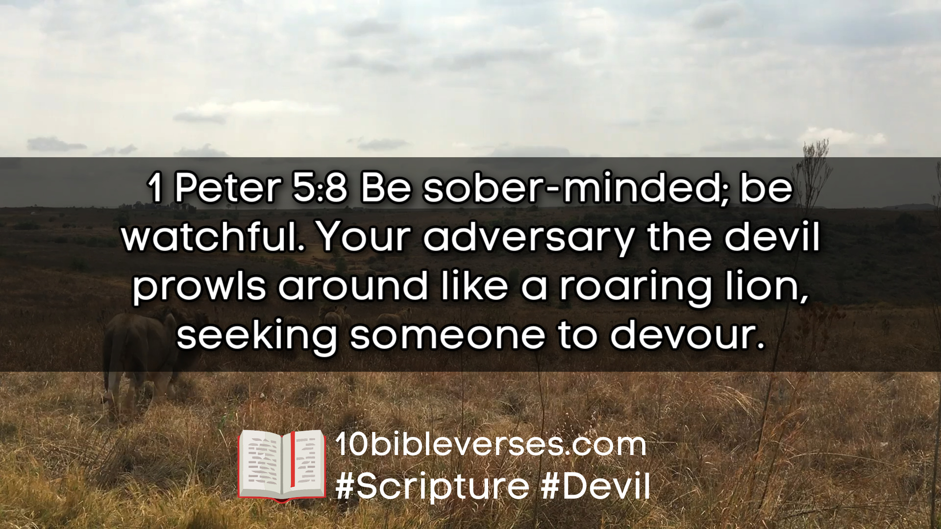 Bible Verses About Satan Bible Verses About Satan