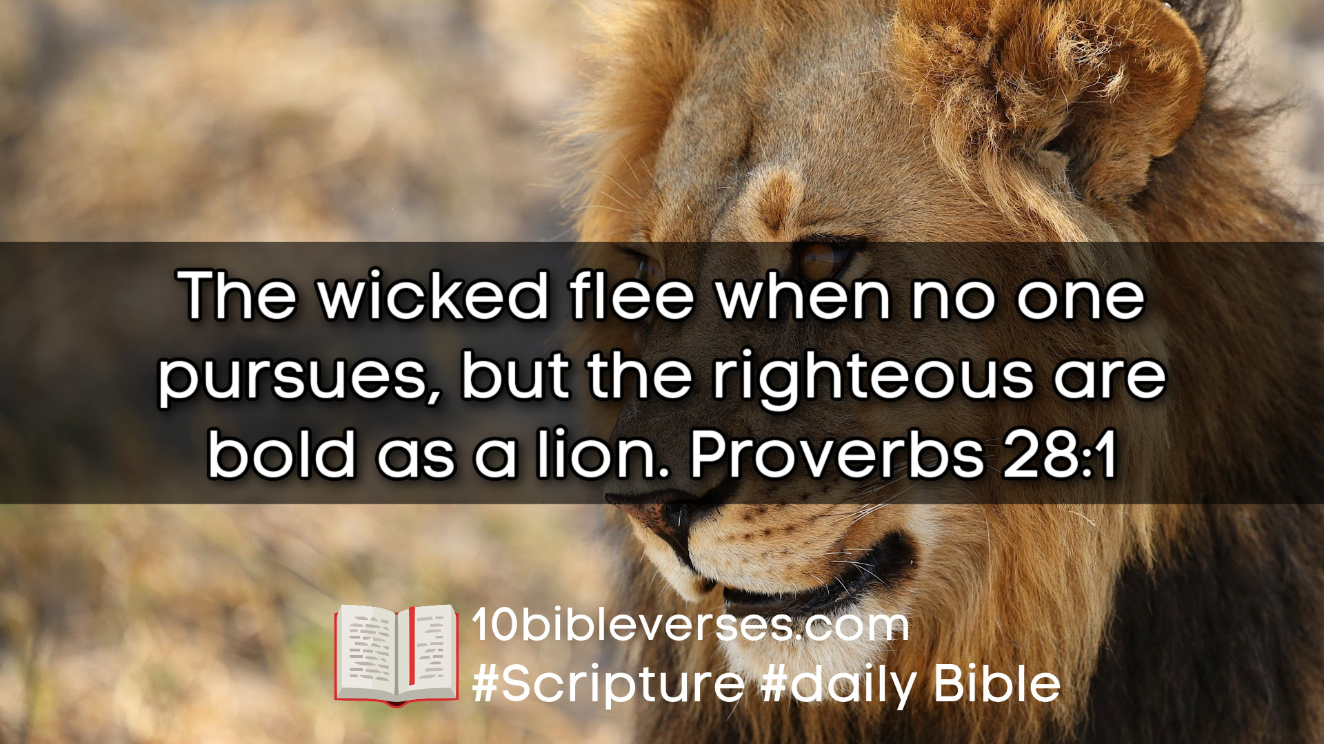 Proverbs 28 1 The Wicked Flee When No One Pursues But The Righteous Are Bold As A Lion. 